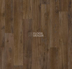 Ковролин Flotex Vision Naturals 010055 Chestnut фото 1 | FLOORDEALER